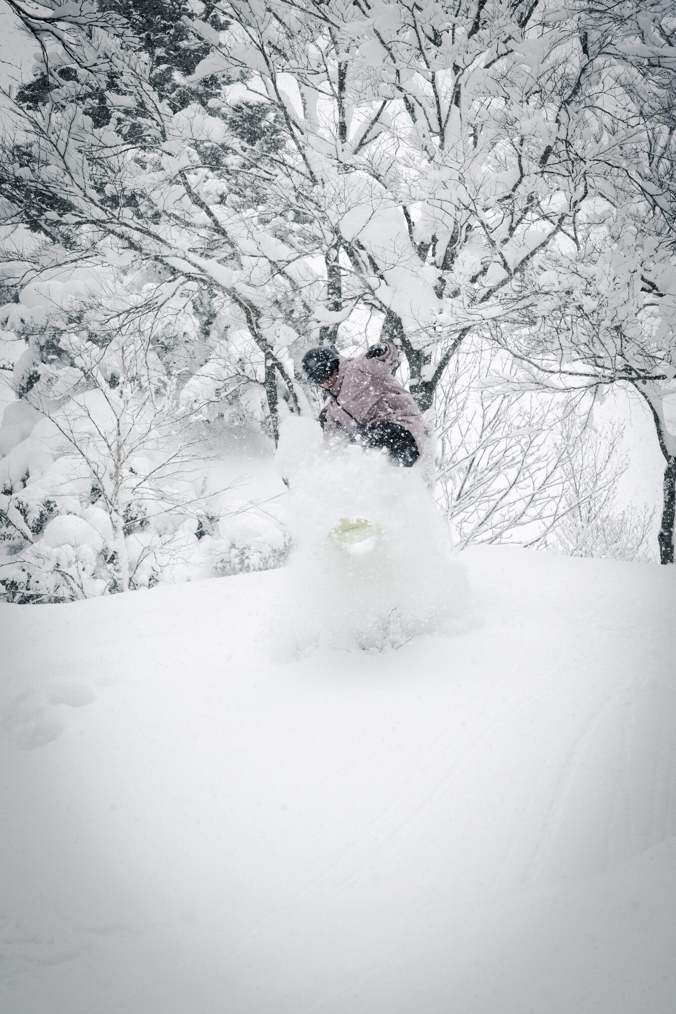 Powder burst in snowy trees